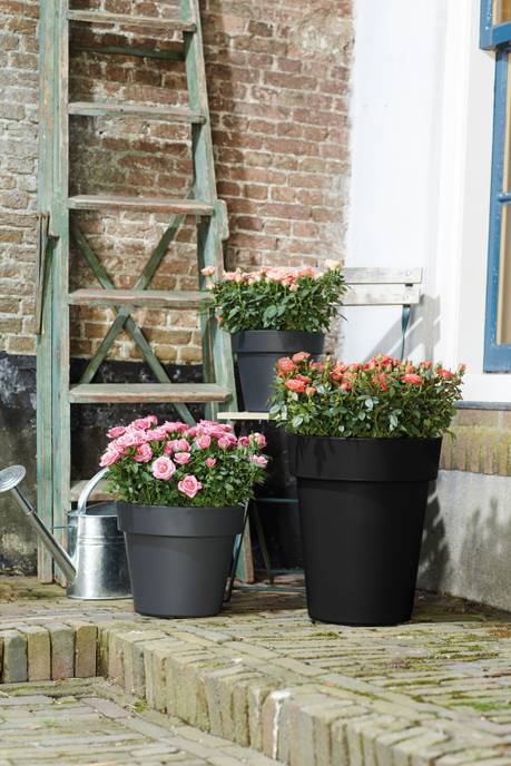 green basics top planter hoog 35cm living black